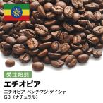 コーヒー豆 受注焙煎！400g エチオピア ベンチマジ ゲイシャ G3（ナチュラル）[選べる焙煎度合い] コーヒー豆 送料無料 大山珈琲  自家焙煎