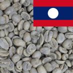 コーヒー 生豆 ラオス ゲイシャ100% 