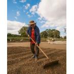 DRIP TRIP сырой бобы Brazil gran Ray naNo2 натуральный moji дыра погреб do#433 кофе .. отметка .. бесплатная доставка 