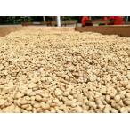 DRIP TRIP 生豆 ベネズエラ ム