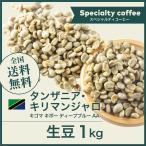 生豆 コーヒー 送料無料 大山珈琲 生豆 タンザニア・キリマンジャロ キゴマ キボー ディープブルーAA 1kg スペシャルティコーヒー