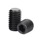 M14 x 1.0 長さ 16mm 1個入 スチール 平先 六角穴付き止めねじ GAVAN