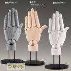 ARTIST SUPPORT ITEM ハンドモデル R -PALE ORANGE- ： 通販・価格比較 