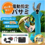 剪定バサミ 電動 充電式 バッテリー 充電器 セット 延長ポール コードレス ブラシレスモーター 家庭用 ハサミ 軽量 果樹 園芸 庭木 マキタ 18V (HAS01CB01-BL)
