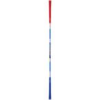  Royal Collection Royal Collection TRI-ONE STICK PLUS 45 Try one палочка плюс 45