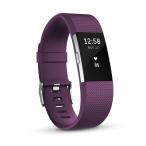 Fitbit пульсомер + фитнес напульсник Charge2 Small Plum FB407SPMS-JPN