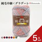ショッピング毛糸 5玉セット  毛糸 Hamanaka  ハマナカ 純毛中細＜グラデーション＞ 爆買い