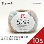 ショッピング毛糸 10玉セット  毛糸 Hamanaka ハマナカ ディーナ 毛糸 編み物 手編み かぎ針編み 毛糸セット 初心者向け毛糸 通販 おしゃれ 毛糸 詰め合わせ