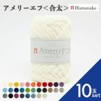 10玉セット  毛糸 Hamanaka  ハマナカ アメリーエフ＜合太＞毛糸 編み物 手編み かぎ針編み 毛糸セット 初心者向け毛糸 通販 おしゃれ 毛糸 詰め合わせ