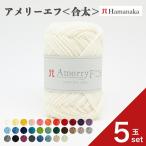 ショッピング毛糸 5玉セット  毛糸 Hamanaka  ハマナカ アメリーエフ ＜合太＞ 毛糸 編み物 手編み かぎ針編み 毛糸セット 初心者向け毛糸 通販 おしゃれ 毛糸 詰め合わせ