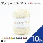 ショッピング毛糸 10玉セット  毛糸 Hamanaka  ハマナカ アメリーエフ＜ラメ＞ 爆買い