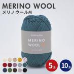 ショッピング毛糸 毛糸 MERINO WOOL メリノウールM 40g 全15色 5玉 10玉 ニッティングディーヴァ Knittind Diva ウール 編み物 手編み かぎ針 棒針 手芸
