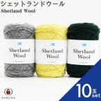 毛糸 ダルマ シェットランドウール 10玉セット 01-6380 毛 ウール 羊毛 毛編み糸 DARUMA ダルマ 手芸 秋冬 編み物 ニット セーター カーディガン ベスト 帽子