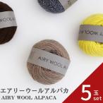 ショッピング毛糸 毛糸 ダルマ エアリーウールアルパカ 01-6500 5玉セット  毛 空気をまぜて糸にしたウールアルパカ 空気 糸 ウール 毛編み糸 DARUMA ダルマ 手芸 秋冬 編み物
