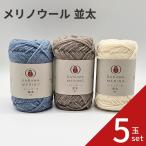 毛糸 メリノウール 並太 5玉セット 01-6700 ウール 毛編み糸 DARUMA ダルマ 手芸 秋冬 編み物 メリノ ニット セーター カーディガン ベスト 帽子 スヌード