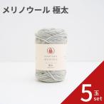 ショッピング手芸 毛糸 メリノウール 極太 5玉セット 01-6140 毛 ウール 毛編み糸 DARUMA ダルマ 手芸 秋冬 編み物 メリノ ニット セーター カーディガン ベスト 帽子 スヌード