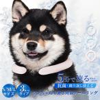 新作 クールリング アイスクールリング クール ネック リング おすすめ 冷感リング ひんやりリング スマートアイス リングクール 防災 送料無料 cicibella