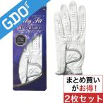 キャスコ KASCO シルキーフィット レフティ GF-14251R 2枚セット グローブ