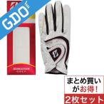 ブリヂストン BRIDGESTONE GOLF SOFT GRIP グローブ GLG44J 2枚セット グローブ