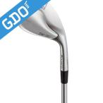  Kasco DOLPHIN Dolphin Wedge DW-115G semi Goose шея модель N.S.PRO 750GH дамский 