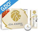 テーラーメイド GLOIRE グローレ DSボール
