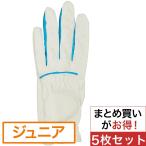 その他メーカー その他 グローブ 5枚セット ジュニア