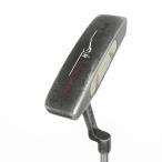  булавка PING SCOTTSDALE Series ANSER2 короткая клюшка steel вал [34] вал : steel вал 