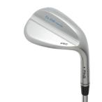  булавка GLIDEg ride forged Pro Sgla Индия Wedge steel вал [54-10] вал : steel вал 