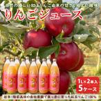 50%OFF 天然果汁 100％ 紅玉 ストレート りんごジュース 1L×2本 5ケース お買い得 セール 陸前高田 アップルジュース プレゼント ギフト 母の日 父の日 GW