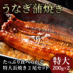 うなぎ 鰻 蒲焼 200g× 2尾 たれ付き 冷凍 土用 丑の日 特大 父の日 お中元 贈り物 2025 プレゼント ギフト 夏
