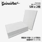 【2枚セット】張りキャンバス 油絵 SM 綿麻混紡 麻65％ コットン35％ キャンバス 画布 描画 油彩 木製フレーム 中目