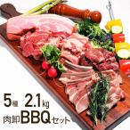 メガ盛り バーベキューセット BBQ 2.1