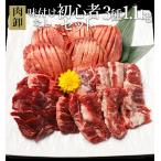 メガ盛り 焼肉セット 肉 福袋 焼肉 タン 牛タン 2人 2人前 厚切り わけあり 訳あり パーティーセット カルビ ハラミ 本格焼肉初心者セット