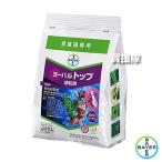 bai L yo- bar верх коробка шарик .1kg×3 пакет комплект 