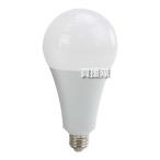 SK11 LED交換球 23W LDA23D-G-SK