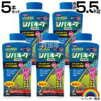  Rainbow лекарства siba keep плюс α 1.1kg×5 шт. комплект 