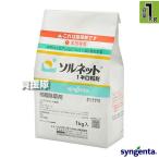 sinjentasoru сеть 1 kilo шарик .1kg