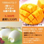 訳あり アイス アイスクリーム 御中元 マンゴー スイーツ ギフト マンゴーシャーベット&選べる1種1000ml×2個入り