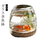 金魚鉢 おしゃれ 金魚 メダカ 水槽 室内 容器 鉢 S M L ミニ水槽 ガラス金魚鉢 小さな水槽 金魚水槽 小さな丸い透明なガラス花瓶 木製ベース