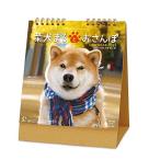 新日本カレンダー 2022年 カレンダー 卓上 柴犬まるとおさんぽ NK8529
