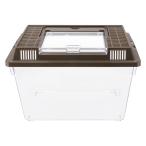  насекомое house wakwakL хаки конечный продукт W305×D200×H210mm 0.63kg fj-18715 бесплатная доставка Северная Европа современный мебель интерьер натуральный вкус новый жизнь рекомендация ..