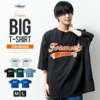 tシャツ 半袖 メンズ ゆったり オーバーサイズ 半袖tシャツ プリント クルーネック Tシャツ ビッグシルエット 半袖Tシャツ ロゴ 半袖シャツ