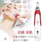 美顔器 美容ニードル ダーマペン 電動マイクロニードルローラー 電動ダーマスタンプ Dermapen ダーマローラー 0.25ミリ-2.0ミリに調整可能 フェイスケア 美肌