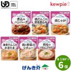 介護食 キューピー やさしい献立 区分1 容易にかめる 6種セット セット販売