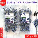 ドライフルーツ ブルーベリー 個包装 アメリカ産 タクマ食品 まいにちワイルドブルーベリー 142g 2袋 送料無料 メール便