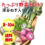  свежий вдоволь овощи комплект 8~10 товар ( Fukaya лук порей ввод )[ бесплатная доставка ]