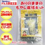  есть. ... мояси культивирование комплект 100g(50g ×2 раз )[ Iizuka магазин ( Saitama префектура Fukaya город ) доставка отдельно обычная температура отправка ][NS]
