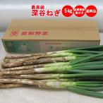 [ зима подарок ] Fukaya лук порей 5Kg [ включая доставку .. для самовывоз :11 месяц последняя декада из отправка предположительно ]