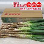 [ зима подарок ] холод .. Fukaya лук порей 5Kg [ включая доставку .. для время ограничено :1 месяц 20 день примерно отгрузка предположительно ]