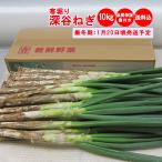 [ зима подарок ] холод .. Fukaya лук порей 10Kg [ включая доставку .. для время ограничено :1 месяц 20 день примерно отгрузка предположительно ]